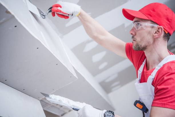 Best Ceiling Drywall Installation  in Glencoe, MN